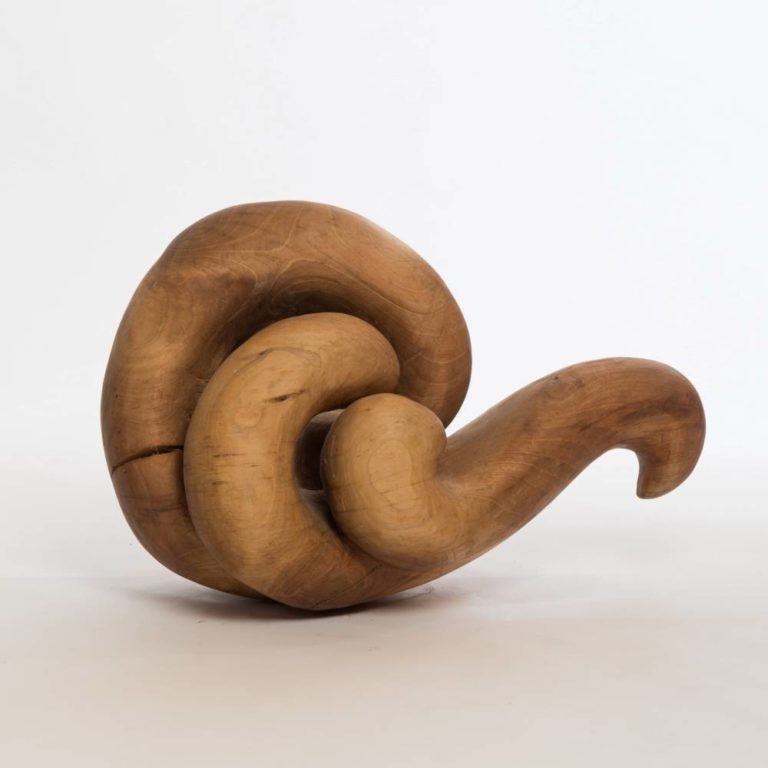 Nussschnecke