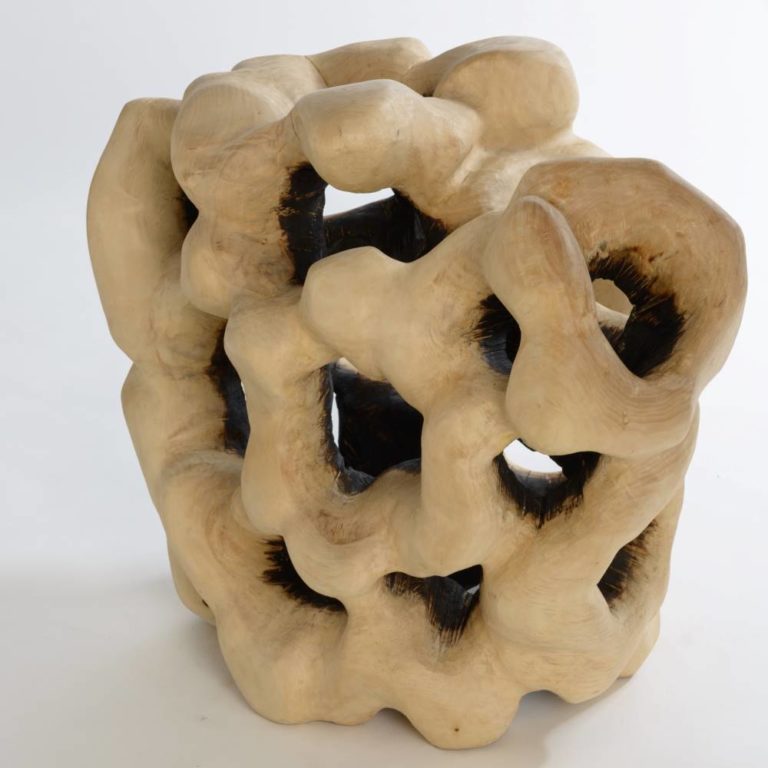 Porifera
