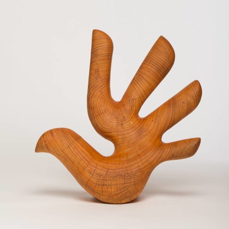 Human Rights Symbol