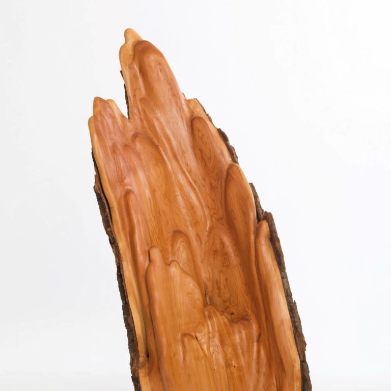 Edelholz Weidenfluss