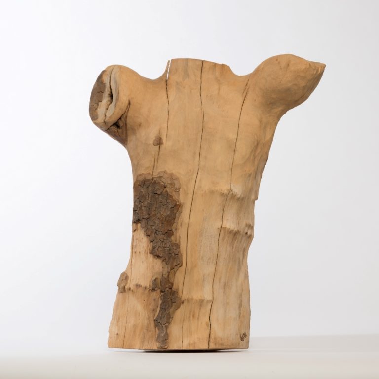 Torso