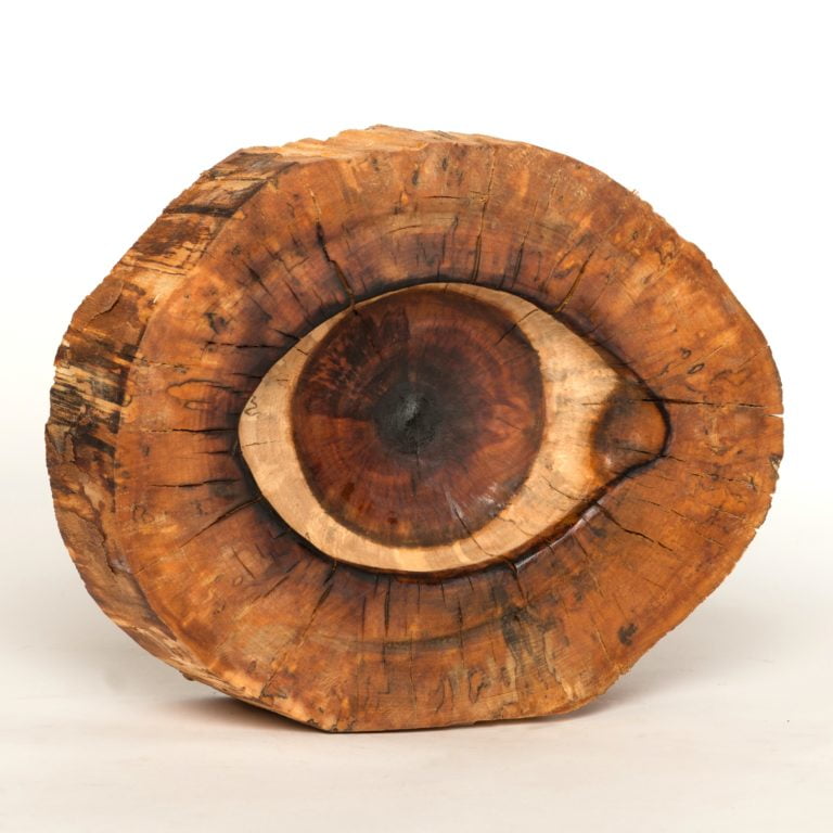 Auge IV