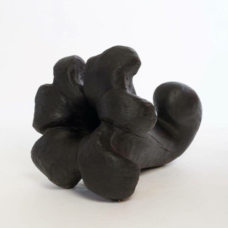Totentrompete (2)