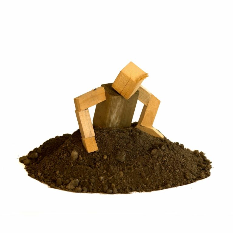 Der Wühler