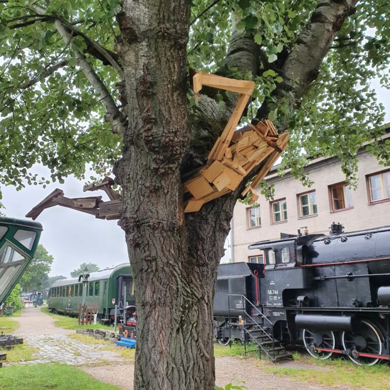 Der im Baum