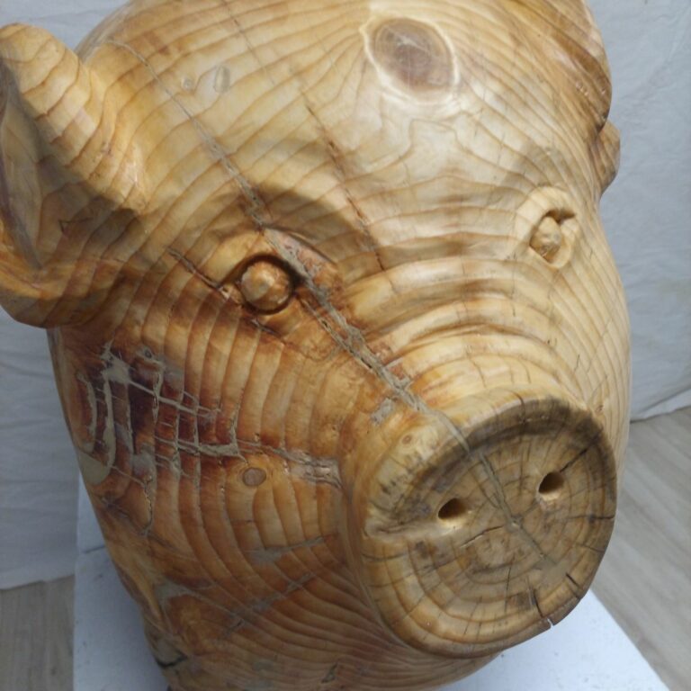 Tierarztschwein