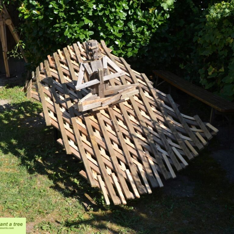 Fliegender Teppich